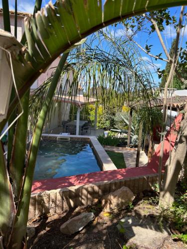 une piscine dans une cour avec un palmier dans l'établissement Villa L' Oliviera, vue mer et plages à pieds, à Sète