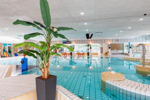 a large swimming pool with a plant in the middle at Bella Gelria in Wezep