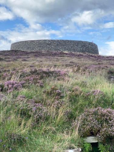 a field with purple flowers on top of a hill at Four bedroomed Townhouse in Letterkenny