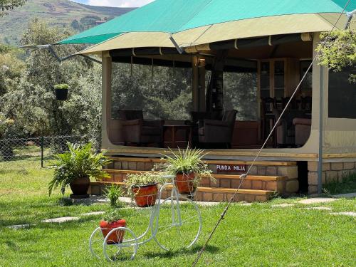 a house with a porch with chairs and plants at Nyumba ya Farasi in Naivasha