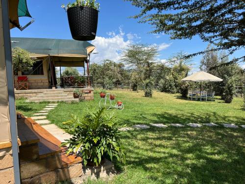 a house with a yard with a lawn sidx sidx sidx at Nyumba ya Farasi in Naivasha