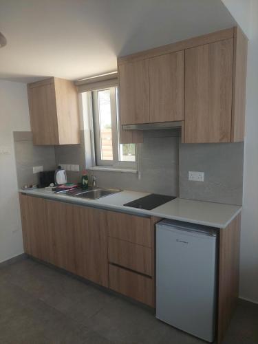 a kitchen with wooden cabinets and a sink and a dishwasher at Green Bay Suites in Protaras