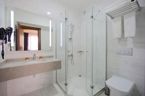 a bathroom with a shower and a sink and a toilet at Hotel Eyfel in Istanbul