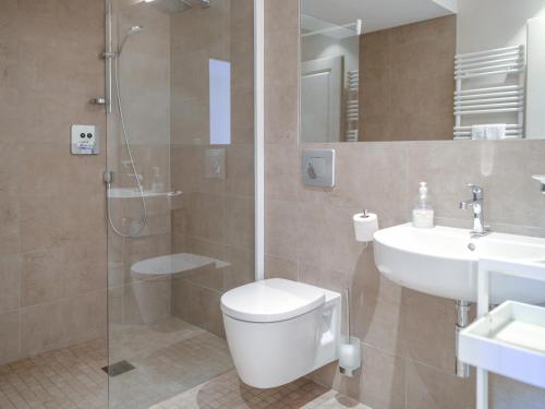 uma casa de banho com um WC, um lavatório e um chuveiro em La Durantie - Villas avec piscine em Castelnau-de-Montmiral