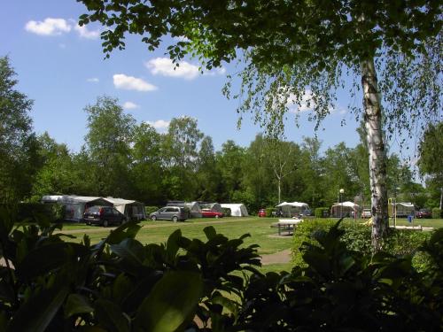 um grupo de tendas num campo com árvores em Familiepark de Vechtvallei em Diffelen