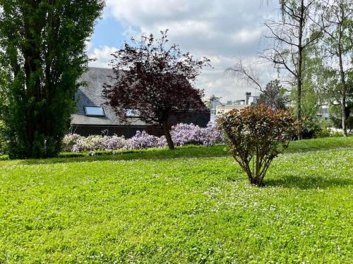 Photo de la galerie de l'établissement L'entracte, à Fontenay-aux-Roses