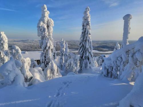 a group of trees covered in snow at Viihtyisä ja tilava mökki, Pytkykaksonen B in Syöte