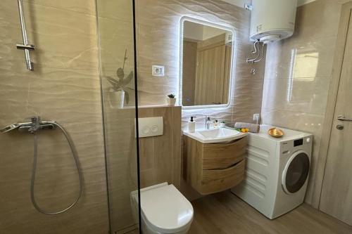 a bathroom with a shower and a toilet and a sink at Holiday house Diva with a pool in Svetvinčenat