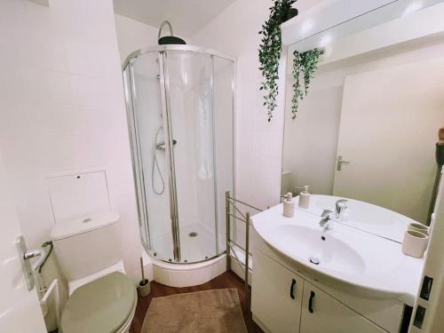 a bathroom with a shower and a sink and a toilet at Studio entre Disney & Paris proche lacs in Torcy