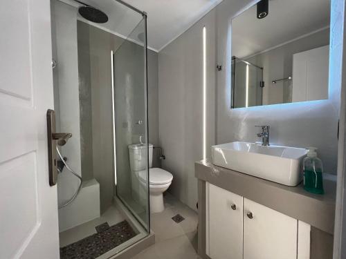 a bathroom with a sink and a toilet and a shower at Thalassa Apartments in Myrtos