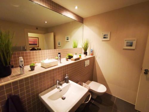 ein Badezimmer mit Waschbecken, Toilette und Spiegel in der Unterkunft 2br Modern Luxury Loft Apartment in Belfast