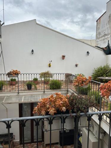 Το κτήριο όπου στεγάζεται  το bed & breakfast