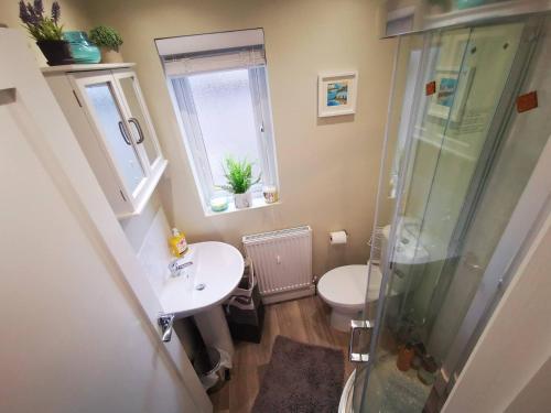 a bathroom with a shower and a sink and a toilet at 4BR Modern Botanic House in Belfast