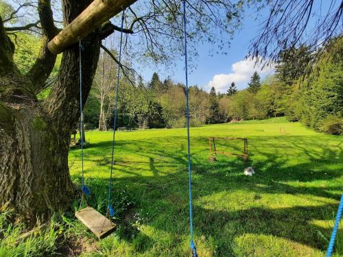 a swing hanging from a tree in a field at Apartment AlpiPond in Kamnik