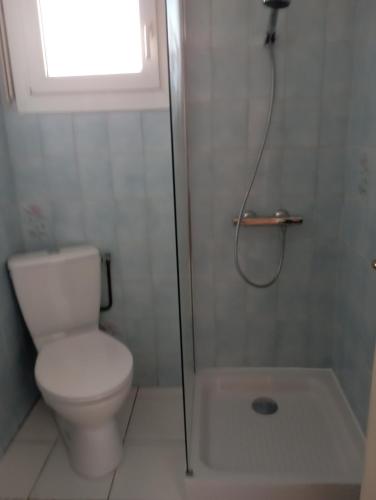 La salle de bains est pourvue d'une douche, de toilettes et d'une fenêtre. dans l'établissement chambre chez l habitant Liebmann, à Saujon