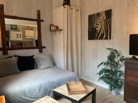 - une chambre avec un lit, un miroir et une plante dans l'établissement les tuilieres, à Limoges