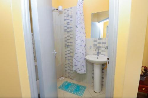 uma casa de banho com um lavatório e um chuveiro em The Perfect New Nest em Nairobi