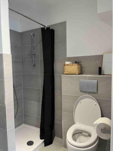 ein Bad mit einem WC und einer Dusche mit einem Duschvorhang in der Unterkunft Casa Studioapartment mit kostenlosen Parkplätzen in Bremen