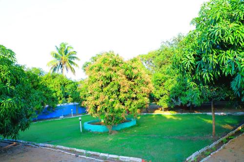 a park with trees and a pool of water at Danak Farm And Resort in Sasan Gir