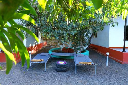 two chairs and a table with a potted tree at Danak Farm And Resort in Sasan Gir