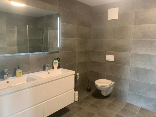 een badkamer met een toilet, een wastafel en een spiegel bij Folkestadvegen 23Q in Bø