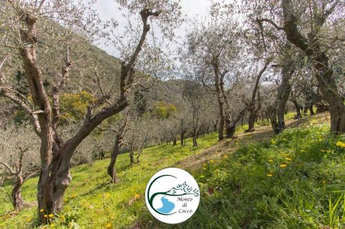 a path through an orchard with trees and a sticker at Villa del Monte di Cocco in Massarosa