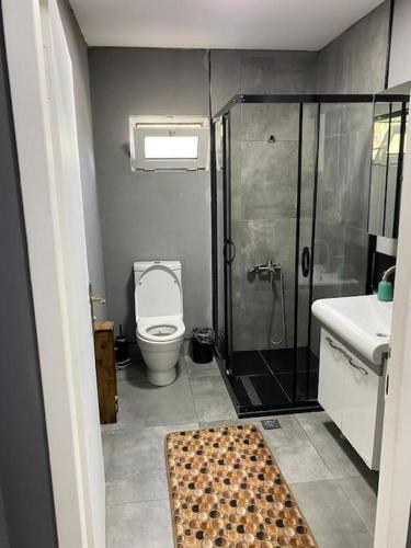 e bagno con doccia, servizi igienici e lavandino. di LOTUS a Şile