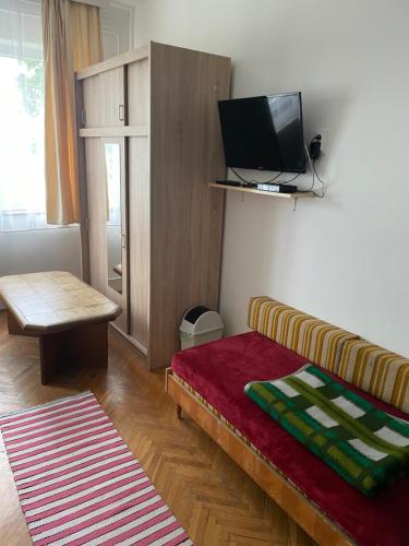 a living room with a couch and a flat screen tv at Retro Motel Mályi in Mályi