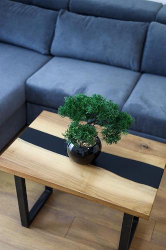 a wooden coffee table with a potted plant on it at Tesla Sky Apartment in Ledine