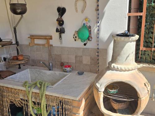 eine Küche mit einer Spüle und einem Kaktus in der Unterkunft Adria Home House in Marina di Cerveteri