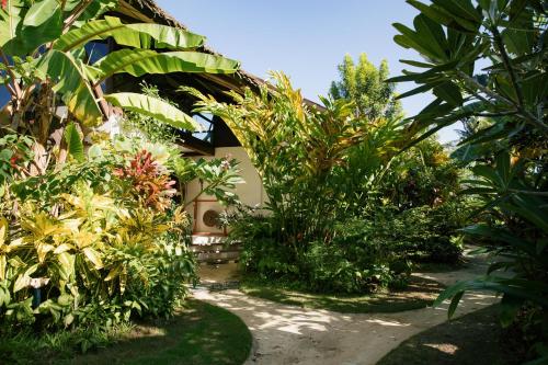 a garden with many different types of plants at Mantaray Siargao in General Luna