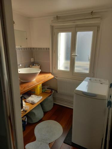 La salle de bains est pourvue d'un lavabo et d'un comptoir avec un miroir. dans l'établissement Chez Sophie, à Trouville-sur-Mer
