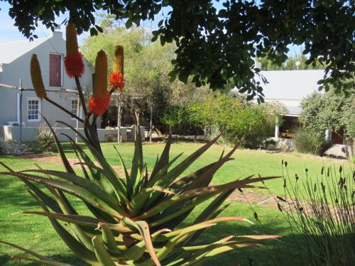 Zahrada ubytování Vensterklip Guest Farm