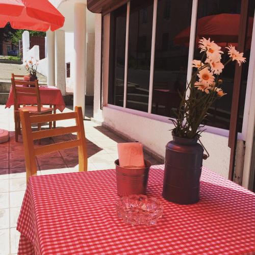 a table with a red checkered table cloth with a vase with flowers at The Rolé House in Gurjaani
