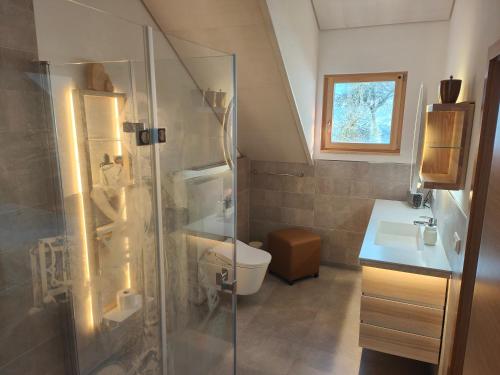 uma casa de banho com um chuveiro, um WC e um lavatório. em Thomas's Loft em Stühlingen