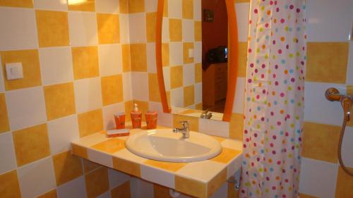 een badkamer met een wastafel en een spiegel bij Location Alpinia in Saint-Paul