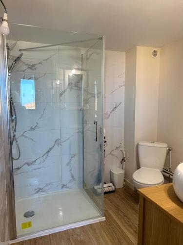 une salle de bain avec douche et toilettes dans l'établissement Le petit Baigneur de la grand bleue, à Port-Leucate