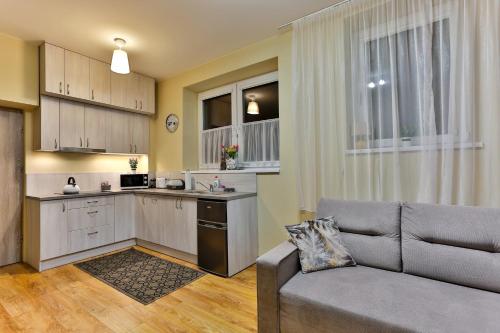 Kuchyň nebo kuchyňský kout v ubytování Apartamenty KOMBI