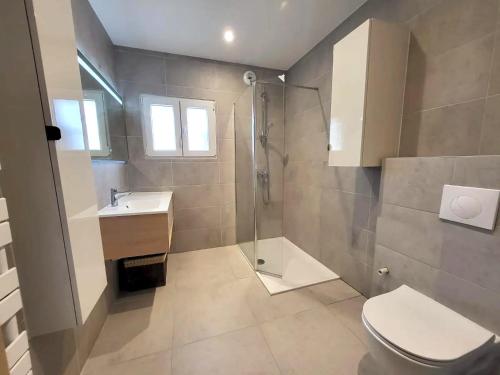 une salle de bain avec une douche, des toilettes et un lavabo dans l'établissement Maison de charme à Vétraz-Monthoux - Terrasse, à Vétraz-Monthoux