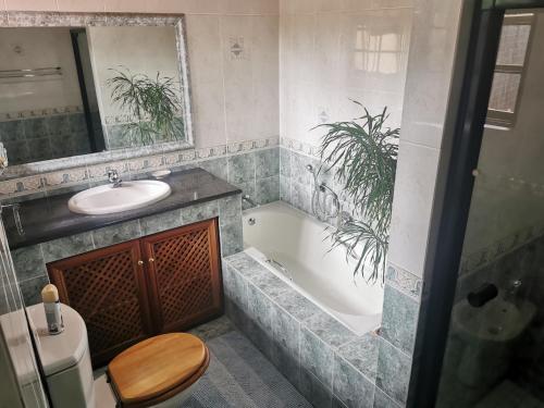 Villa Stella Guest House في ايدنفيل: حمام مع حوض ومغسلة ومرحاض