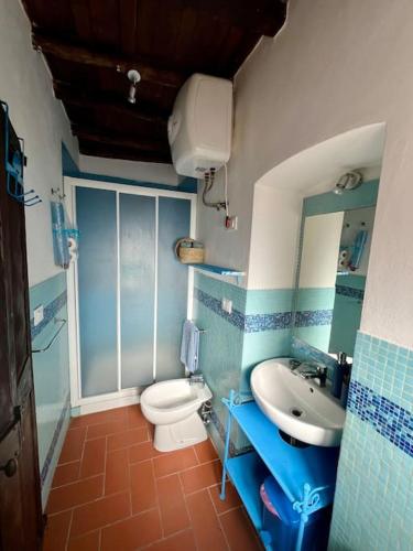 baño azul y blanco con aseo y lavamanos en Charming House Isola di Capraia Casa Carlo Alberto, en Capraia