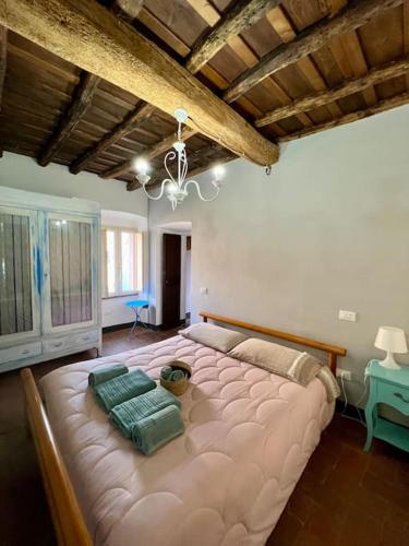 1 dormitorio con 1 cama grande en una habitación en Charming House Isola di Capraia Casa Carlo Alberto en Capraia