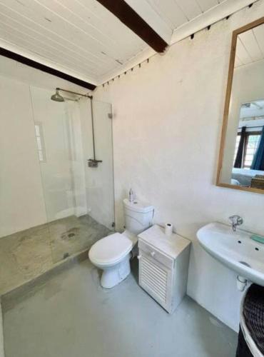 un baño con inodoro y lavabo en Rivertime, en Malgas