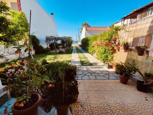 Κήπος έξω από το Anna's house 3