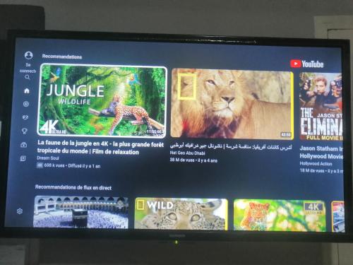 a computer screen with a picture of a lion and a tiger at HOTEL ERRACHIDIA in Er Rachidia