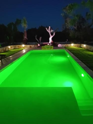 Kolam renang di atau dekat dengan Il Canto della Cicala