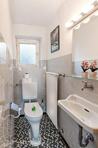 a bathroom with a white toilet and a sink at Pension Karner in Mittenwald