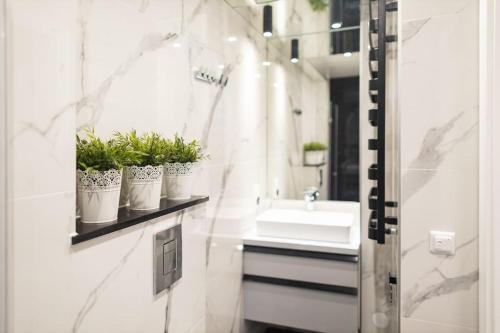 La salle de bains est pourvue d'un lavabo et de plantes en pot sur une étagère. dans l'établissement ASTRA-wygodny apartament w Zakopanem tuż przy wejściu na szlaki, à Zakopane
