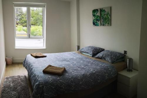 una camera da letto con un letto con una coperta blu e una finestra di Home in Blackrock Dublin a Dublino