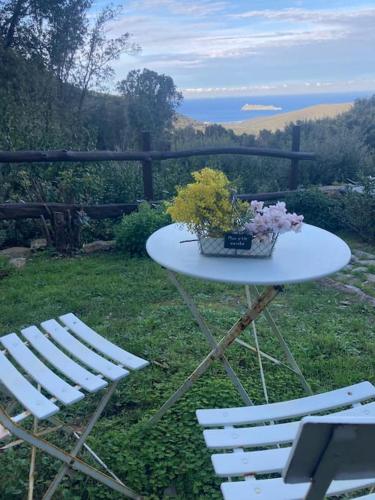 une table avec deux chaises et une table avec des fleurs. dans l'établissement Gite du bout du cap Corse, à Ersa